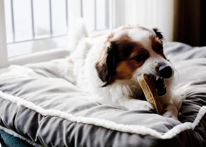 Hotel Relexa Stuttgarter Hof 4*