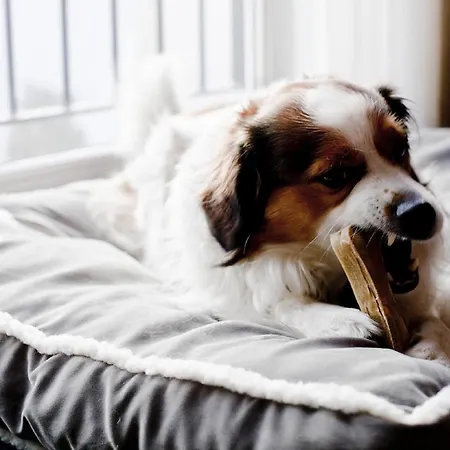 Hotel Relexa Stuttgarter Hof 4*